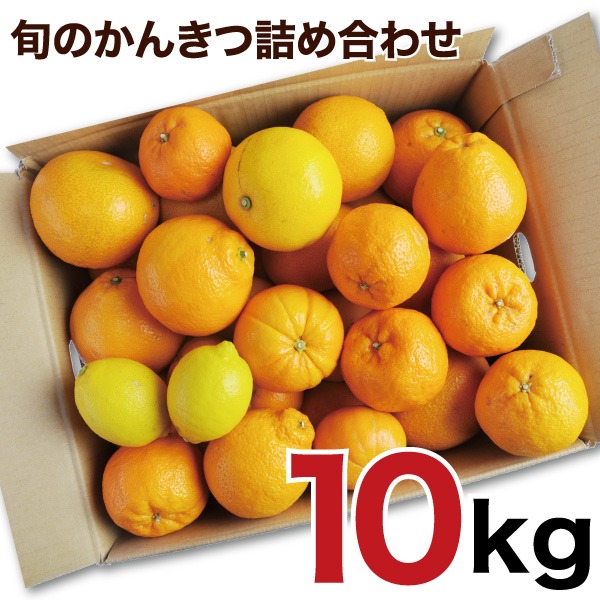 ダンボールに入った、3種類の柑橘10キログラムの写真