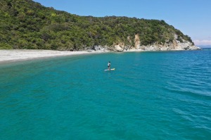サーフィンする人と、無人島の写真