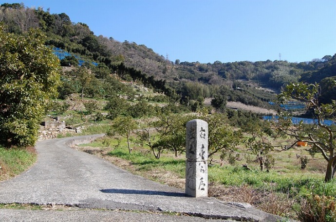 熊野古道の風景写真